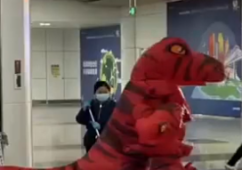 父子扮恐龙去机场接支教妈妈回家 网友：有趣的灵魂！