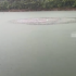 江西一水库水面惊现8米大圆气泡 网友：报警吧！