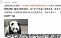 网传熊猫“宝新”去世 咋回事